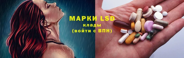 эйфоретик Осинники