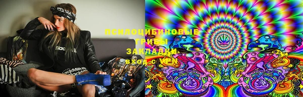 эйфоретик Осинники