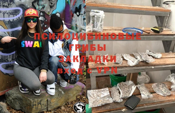 эйфоретик Осинники