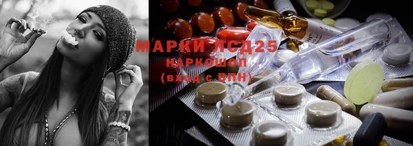 эйфоретик Осинники